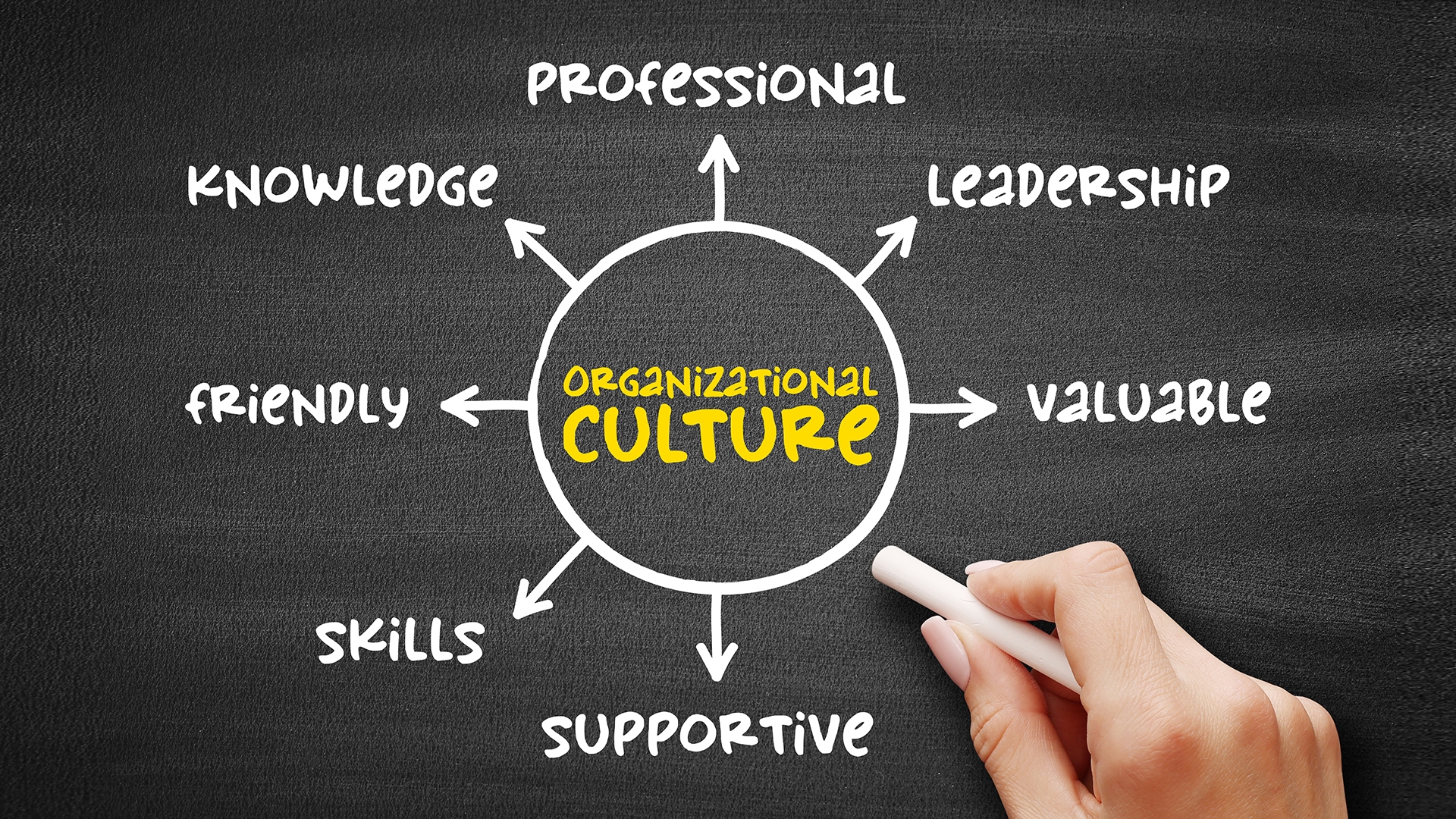 How Delhi Companies Can Build a Coaching Culture for Senior Leaders